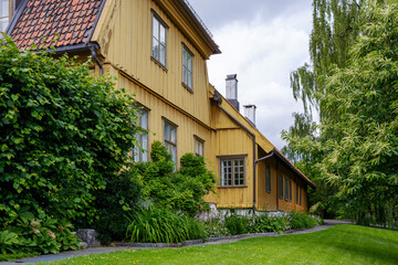 Detail from the Bothanical Garden of Oslo.