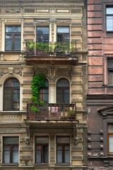 Traditional french balcony, black wrought iron fence decorated with flower pots, balconies and french windows perspective on background