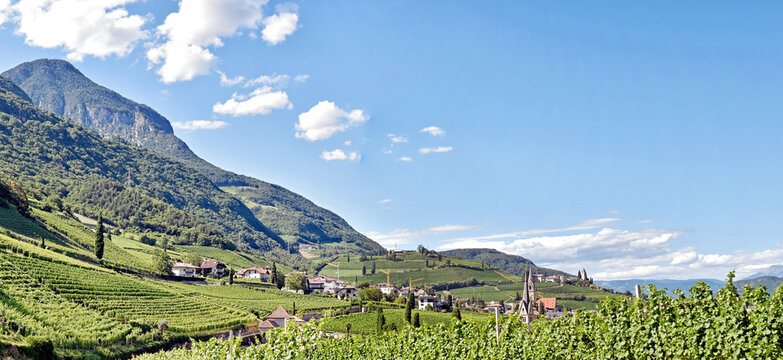 Tramin - S&uuml;dtirol, Italien