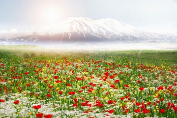 Mount Ararat (Turkey) at 5,137 m viewed from Yerevan, Armenia. This snow-capped dormant compound...