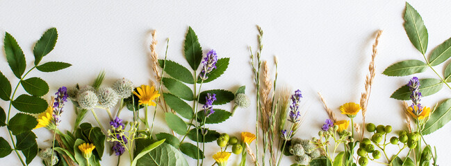 Summer herbal long wide banner, card, invitation. Herbs, leaves and flowers on a white background....