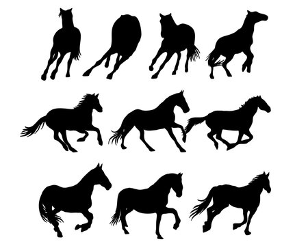 Set of horse silhouette in line art style.Horse vector by hand drawing.Horse tattoo on white background.Illustration of a herd of horses running in the meadow