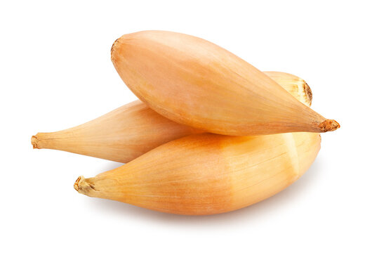 shallots onion path isolated on white