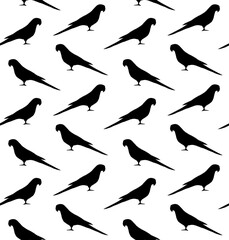 Vector seamless pattern of hand drawn Indian ringneck parrot silhouette isolated on white background