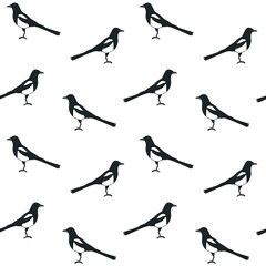 Vector seamless pattern of hand drawn doodle sketch colored magpie bird isolated on white background - obrazy, fototapety, plakaty