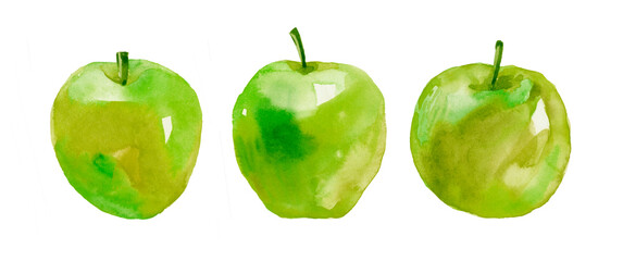 Three green Apples on white background , watercolor illustration.