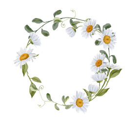 Daisy wreath, Chamomile flowers isolated on white background, hand drawn watercolor illustration