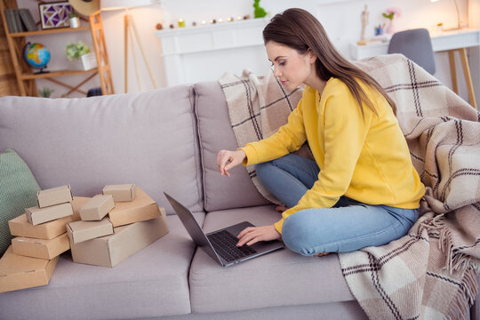 Full body photo of serious calm girl sitting couch use wireless netbook living room house indoors