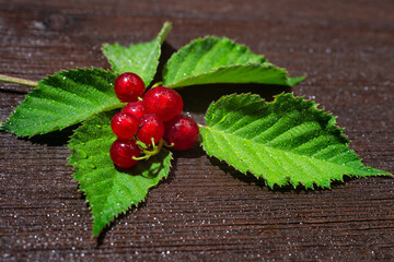 Beautiful bunch of ripe red currants with leaves on a wooden background. A ripe summer berry crop