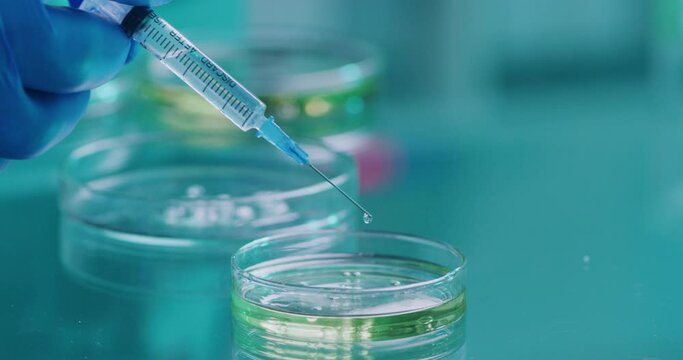 Closeup of a scientist hand holding a syringe with a needle and glass plate or petri dish in a medical science laboratory. Microbiologist testing a virus and trying to invent a cure in a research lab