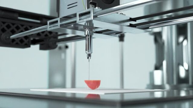 Innovative Mechanism Of Medical Machine Prints Replica Of Human Kidney. Medical 3d Printing Device Fabricates New Kidney For Patient. Robotic Printer Machine Creates Healthy Kidney Organ
