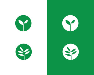 Grow leaf logo template