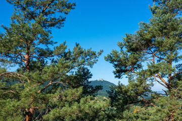 castle Neuffen at the swabian alb in germany