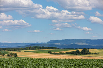 swabian alb and fields of wheat and corn