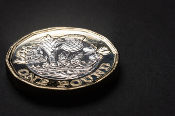 british one pound coin closeup