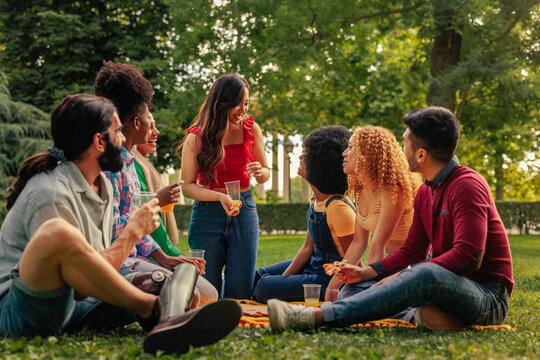 Friends Reunited On Picnic