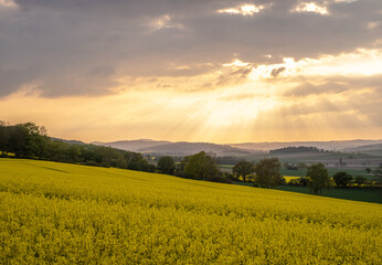 Obraz premium Landscape at sunset in Germany