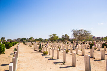 Fototapeta na wymiar Beautiful view of El Alamein British War Cemetery in El Alamein, Egypt