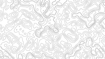 White wave paper curved reliefs abstract background, Abstract topographic contours map background. Geographic mountain relief. Abstract lines background. Contour maps. Business concept.