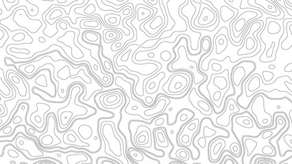 White wave paper curved reliefs abstract background, Abstract topographic contours map background. Geographic mountain relief. Abstract lines background. Contour maps. Business concept.