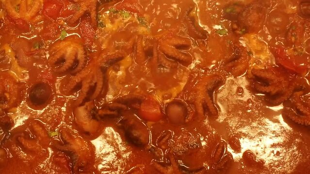 Stewed octopus with tomatoes, typical Italian recipe called stewed octopus, octopus stew, Luciana-style octopus.Santa Lucia Stewed Octopus