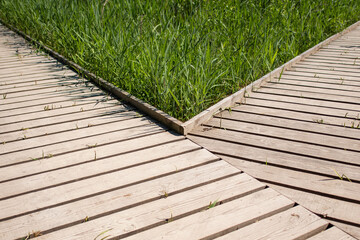 Wooden boardwalks and grass. Close up.