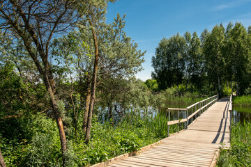 Wooden boardwalk and footbridge over the pond. The boardwalk is surrounded by grass and on both sides and leads to a forested area.