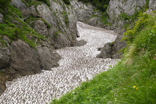 Late Summer snow in Costila Valley, an unmarked alpine route in Bucegi mountains, Romania.