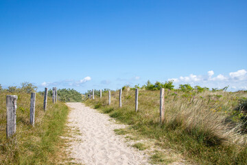 Fototapeta na wymiar path in the sand dunes on Baltic Sea 