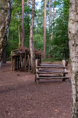 Woodland walk park at Whitley, Surrey