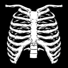Human ribcage white isolated on black background vector EPS horror dark illustration
