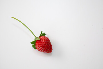 茎がついた状態のとれたてのイチゴ
