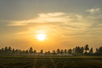 Sunrise Sky In The Morning At Rustic Rice Field In Thailand.