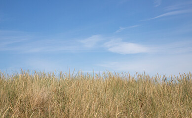 landscape of Baltic Sea dunes with white clouds on blue sky	in background