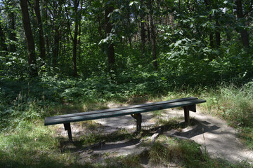 Naklejka premium Bench in the park in summer. Sunny hot day in July