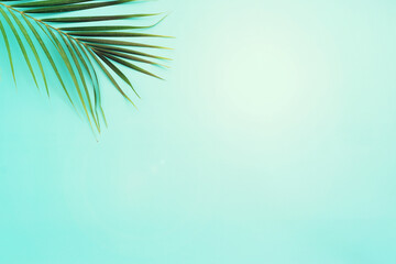 Fototapeta na wymiar Image of tropical green palm over blue pastel background