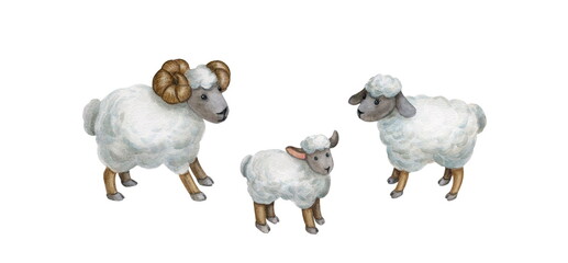 Watercolor illustration, ram, sheep and lamb.  © Галина Смирнова