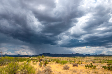 Fototapeta premium Monsoon season in Southern Arizona