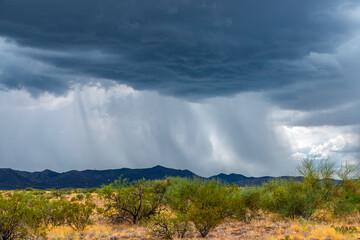 Monsoon season in Southern Arizona