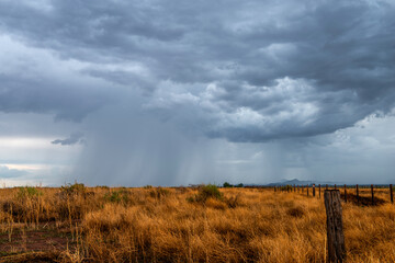 Fototapeta na wymiar Monsoon season in Arizona