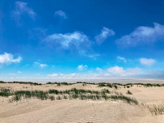 Dünenlandschaft Juist