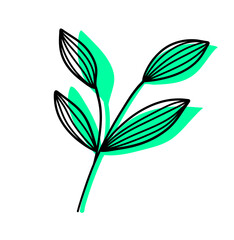 Leaves Plant Texture