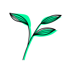 Leaves Plant Texture