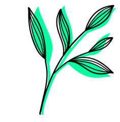 Leaves Plant Texture