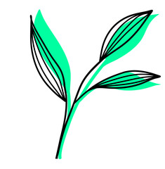 Leaves Plant Texture