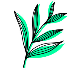 Leaves Plant Texture