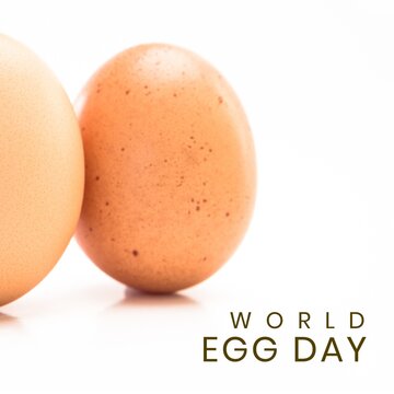 Digital composite image of brown eggs and world egg day text against white background, copy space