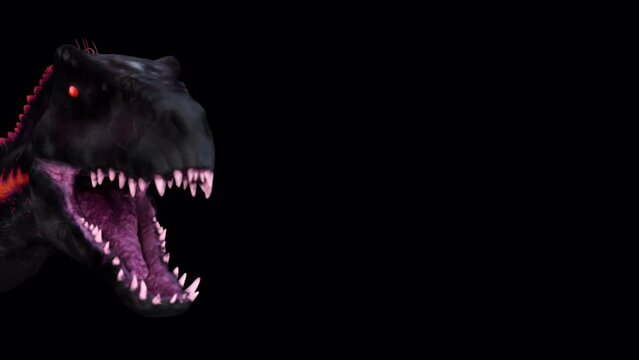 Dino Head And Fire II Loop, Animation.3840×2160.10 Second Long.Transparent Alpha video.LOOP.