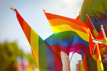Many waving LGBT gay pride flags at a solidarity march.