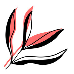 Leaves Plant Texture